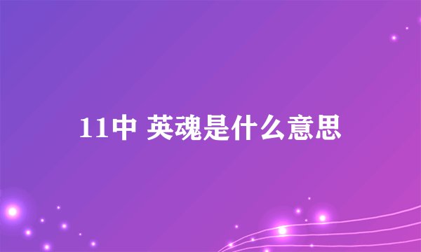 11中 英魂是什么意思