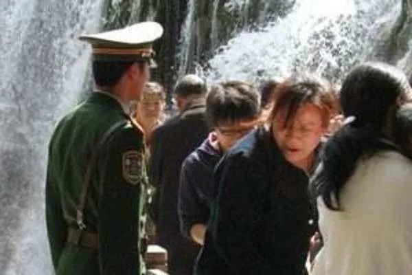 小白杨事件到底发生了什么