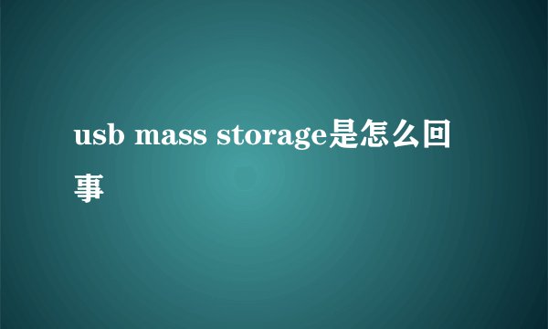 usb mass storage是怎么回事