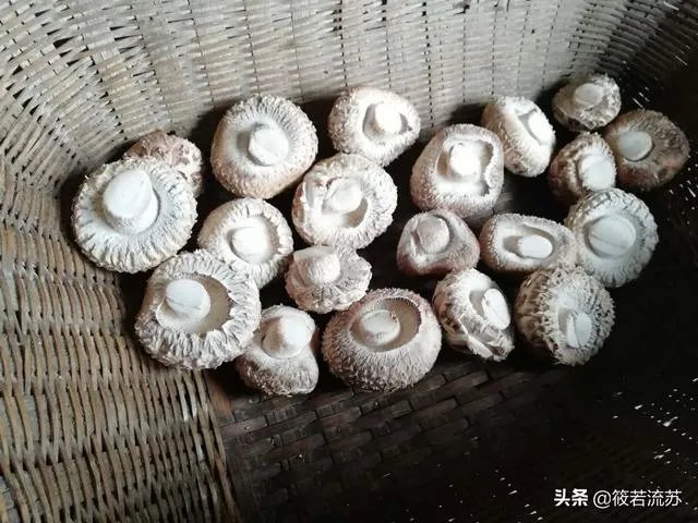 疫情期间妈妈在家做的事