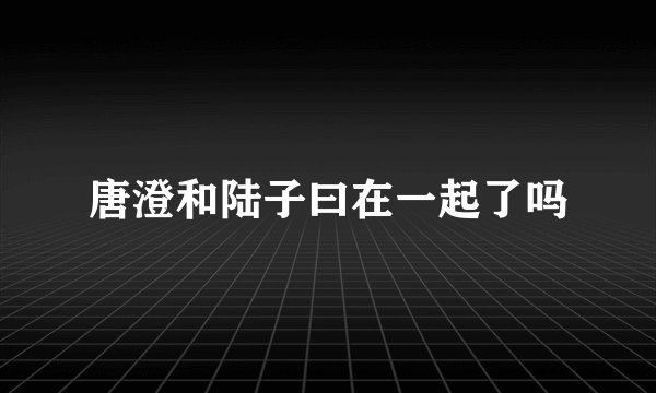 唐澄和陆子曰在一起了吗
