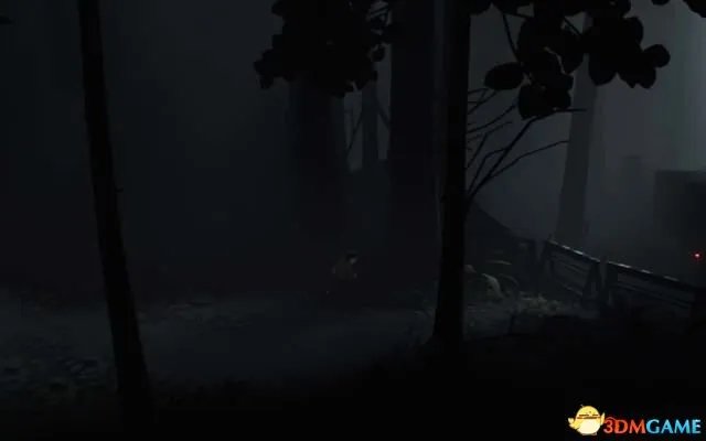 《Inside》 图文攻略 全关卡流程解密全收集攻略