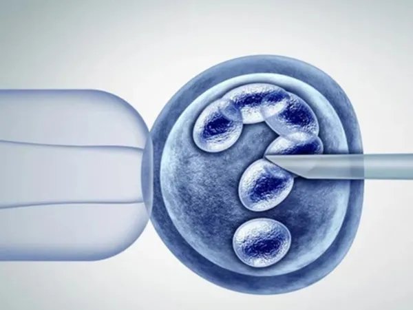 试管进周期卵泡达到18mm时就可以取卵吗?