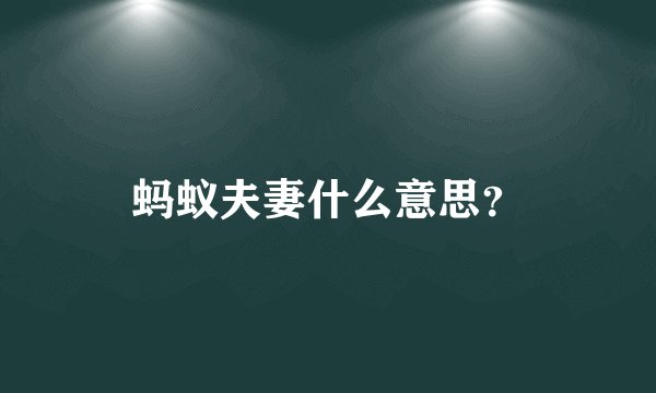 蚂蚁夫妻什么意思？