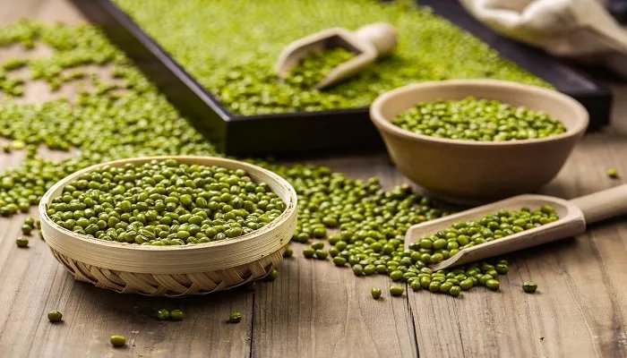 豆子的种类有哪些