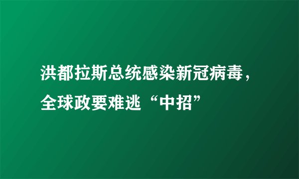 洪都拉斯总统感染新冠病毒，全球政要难逃“中招”