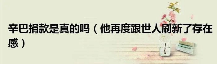 辛巴捐款是真的吗（他再度跟世人刷新了存在感）