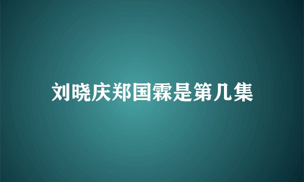 刘晓庆郑国霖是第几集