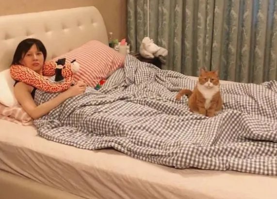 papi酱孕肚曝光太吓人 papi酱孕肚是什么样子