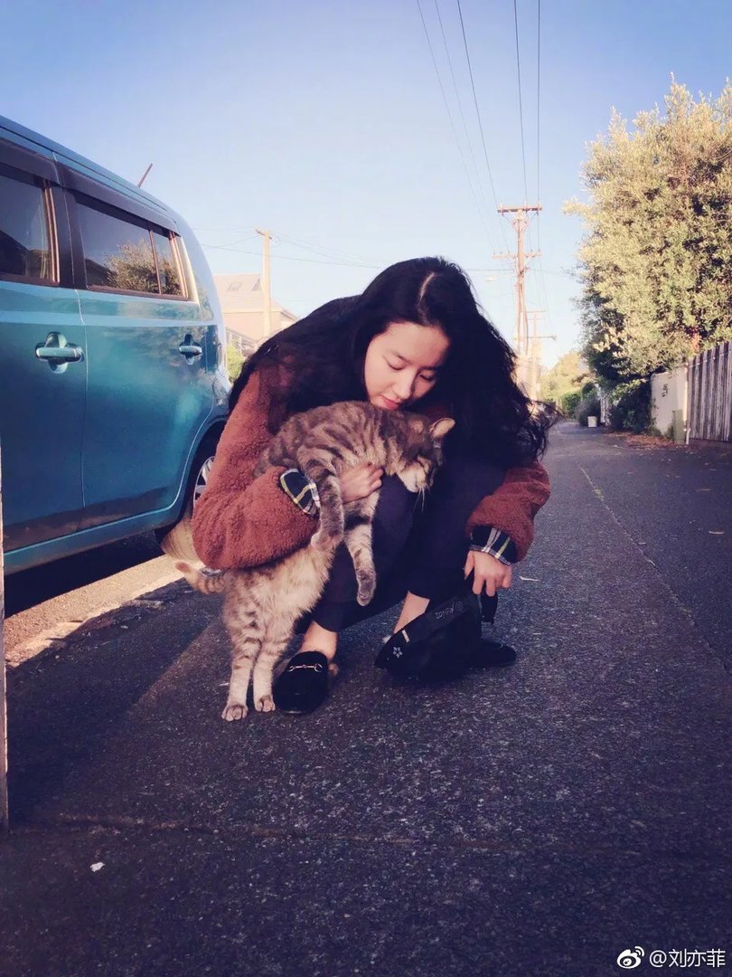 网络红人韩老板刘亦菲 刘亦菲为什么是美国国籍