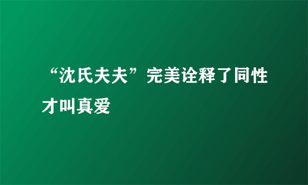 “沈氏夫夫”完美诠释了同性才叫真爱