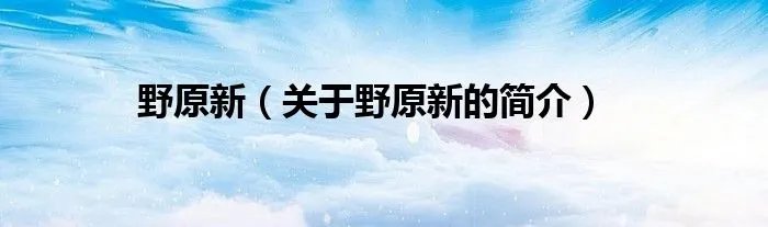 野原新（关于野原新的简介）