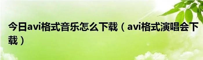 今日avi格式音乐怎么下载（avi格式演唱会下载）