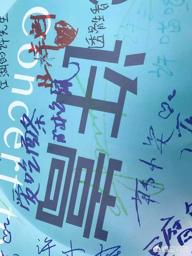 一个人去看演唱会是什么感觉？