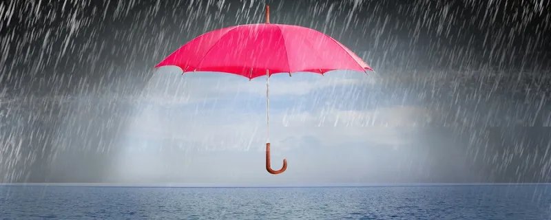 下雨前动物的表现 下雨前动物们的征兆