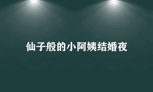 仙子般的小阿姨结婚夜