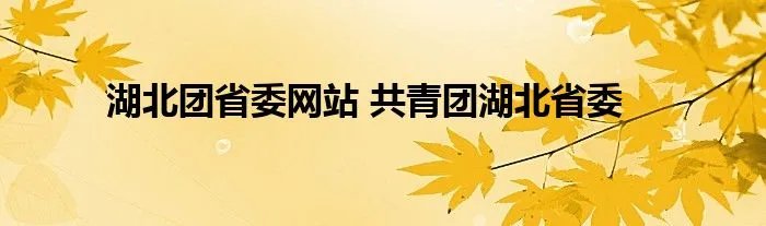 湖北团省委网站 共青团湖北省委