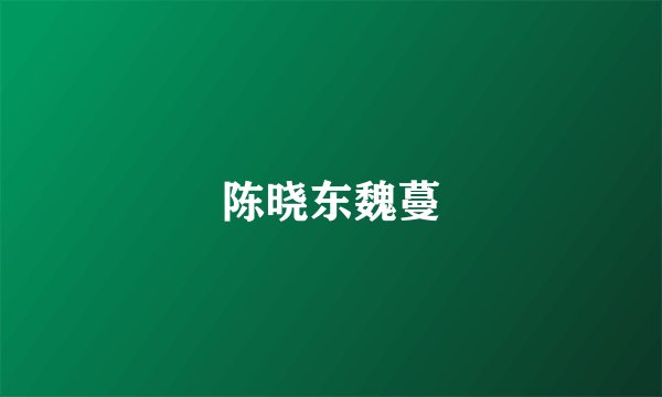 陈晓东魏蔓