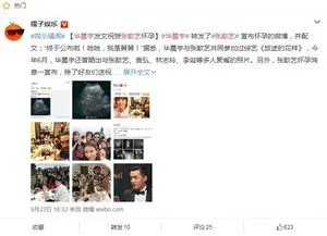 张歆艺华晨宇为什么关系好 他俩的渊源