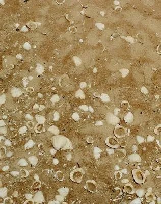 你知道牛皮癣是否会传染吗