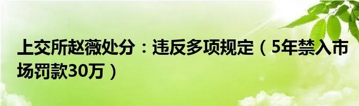 上交所赵薇处分：违反多项规定（5年禁入市场罚款30万）