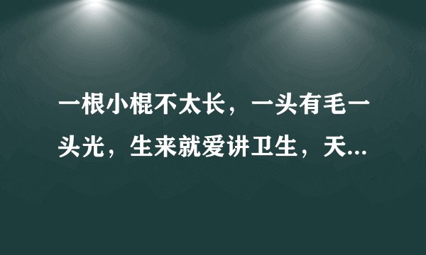 一根小棍不太长，一头有毛一头光，生来就爱讲卫生，天天嘴里跑几趟。  打一