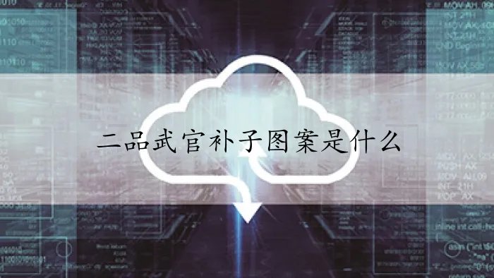 二品武官补子图案是什么