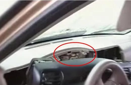 方向盘打不动，拆开瞬间傻眼【图集】