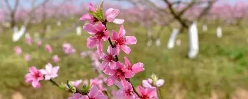 qq炫舞手游名字带符号 qq炫舞带符号的名字大全