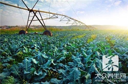  去水泥地青苔小窍门