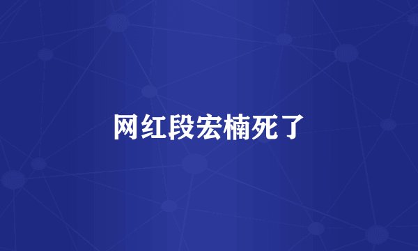 网红段宏楠死了