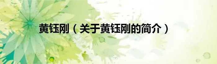 黄钰刚（关于黄钰刚的简介）