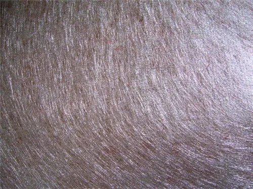 金属丝面料有什么特点 金属面料该怎样洗涤呢