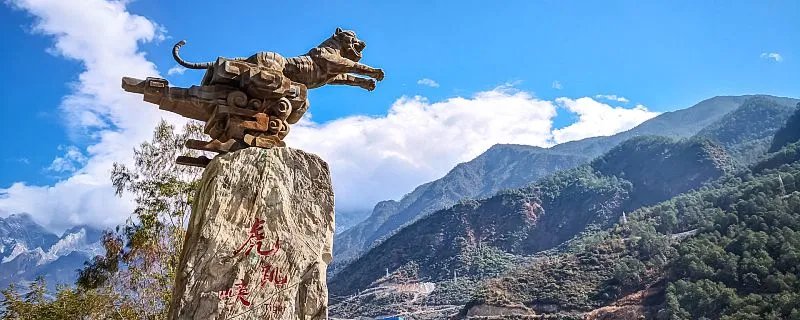 2010年属虎人一生的命运 2010年属虎人一生运气怎么样