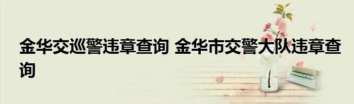 金华交巡警违章查询 金华市交警大队违章查询
