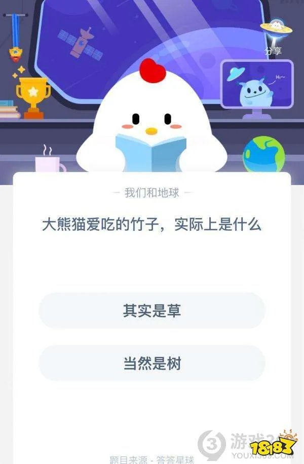 大熊猫爱吃的竹子实际上是什么