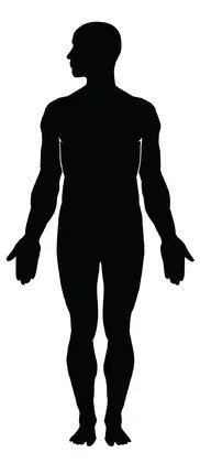 女人的6种身材那种更美