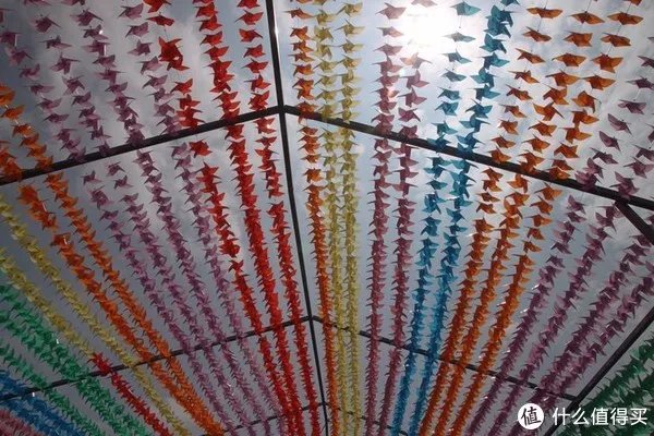 镜头推荐之腾龙B005,这真的是一枚超越入门狗肉的副厂稍大光圈的狗头，腾龙17-50一周年体验测评