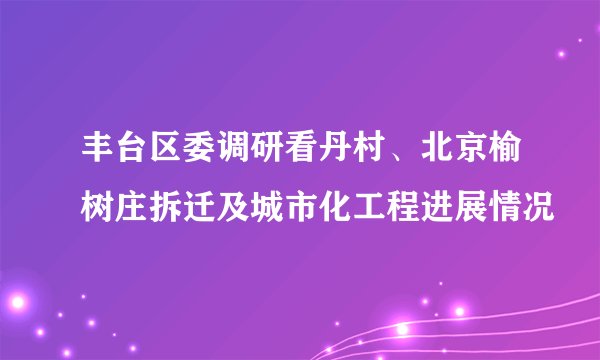 丰台区委调研看丹村、北京榆树庄拆迁及城市化工程进展情况