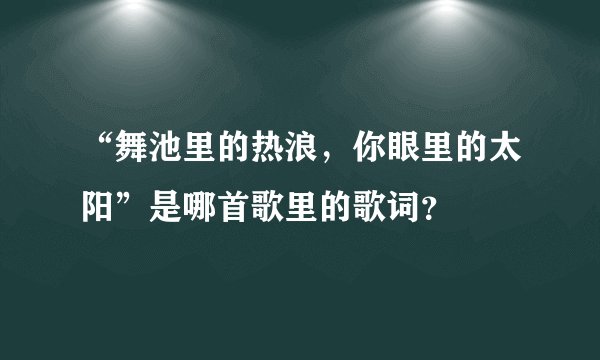 “舞池里的热浪，你眼里的太阳”是哪首歌里的歌词？