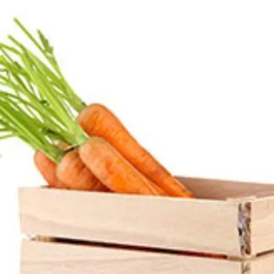 荷叶的功效与作用及食用方法