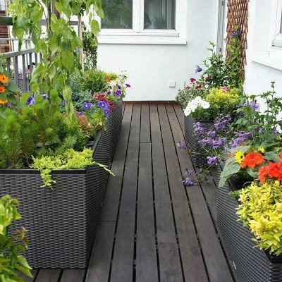 艾绒制作方法及艾绒的作用？