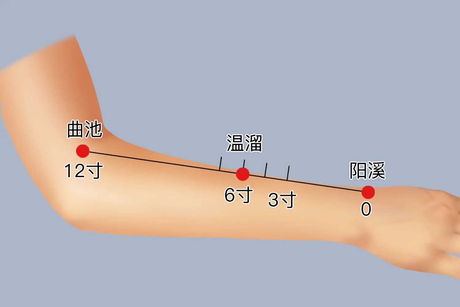 温溜的准确位置与功效