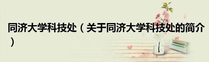 同济大学科技处（关于同济大学科技处的简介）