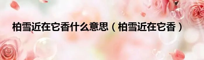 柏雪近在它香什么意思（柏雪近在它香）