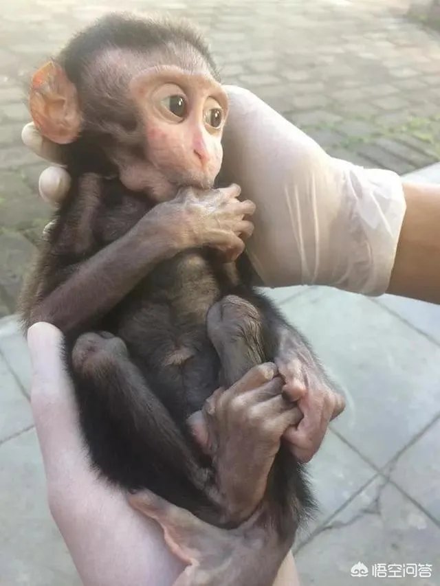 热浪岛旅游攻略有哪些?