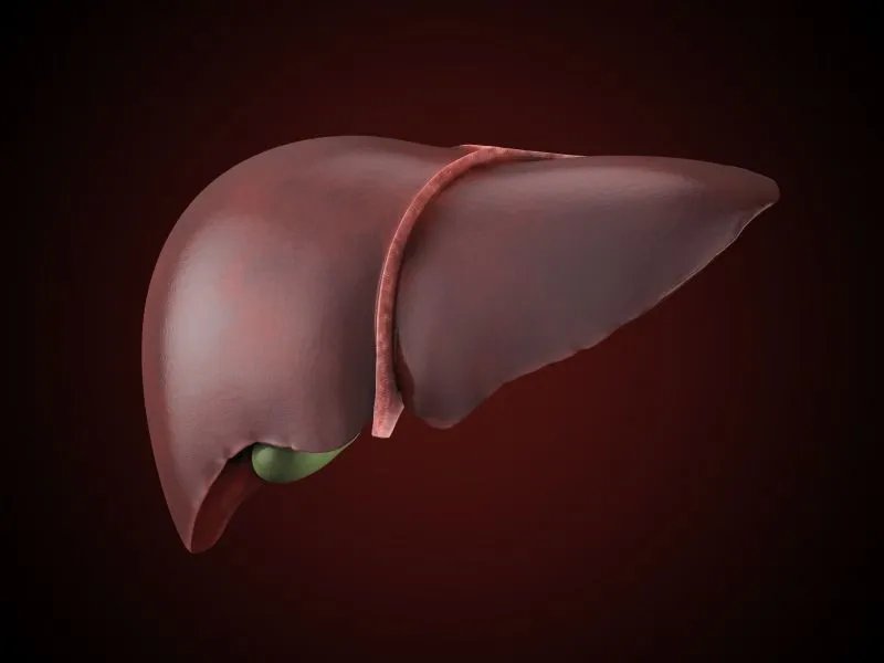 肝胆专科的解释