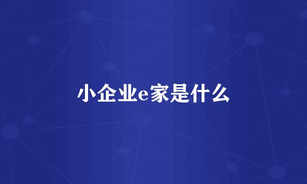 小企业e家是什么