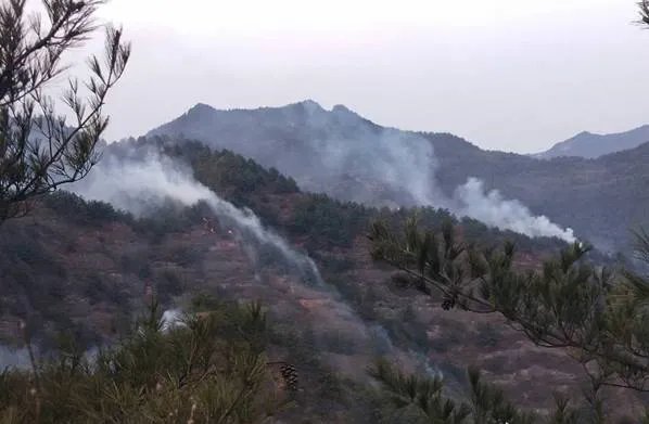 甘肃突发森林火灾最新消息 消防员进场紧急救火