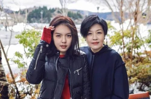 李咏哈文是什么民族是回族吗 李咏是穆斯林吗 法图麦是什么意思